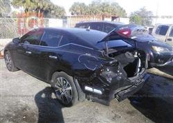 نيسان ماكسيما